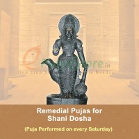 Taila Abhishekam For Shanishwara(Saturn) With Pasupatha Mantram  On Saturday